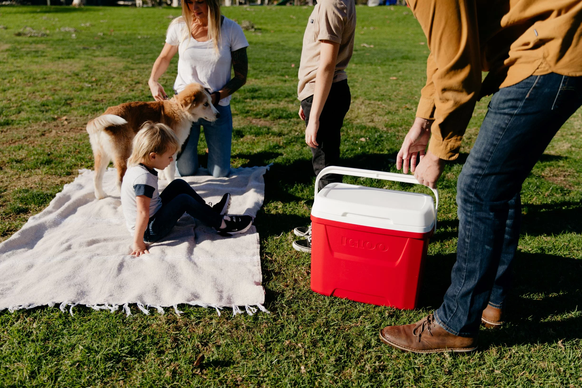 Igloo 28 QT Laguna Ice Chest Cooler, Red