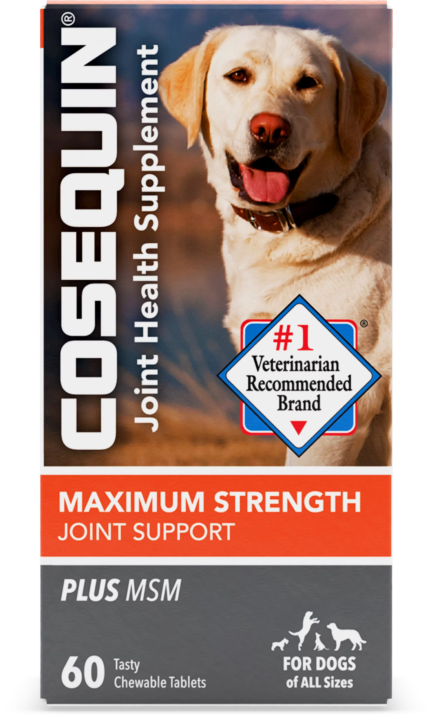 Nutramax Cosequin Maximum Strength Joint Health Supplement for Dogs, 60 Chewable Tablets