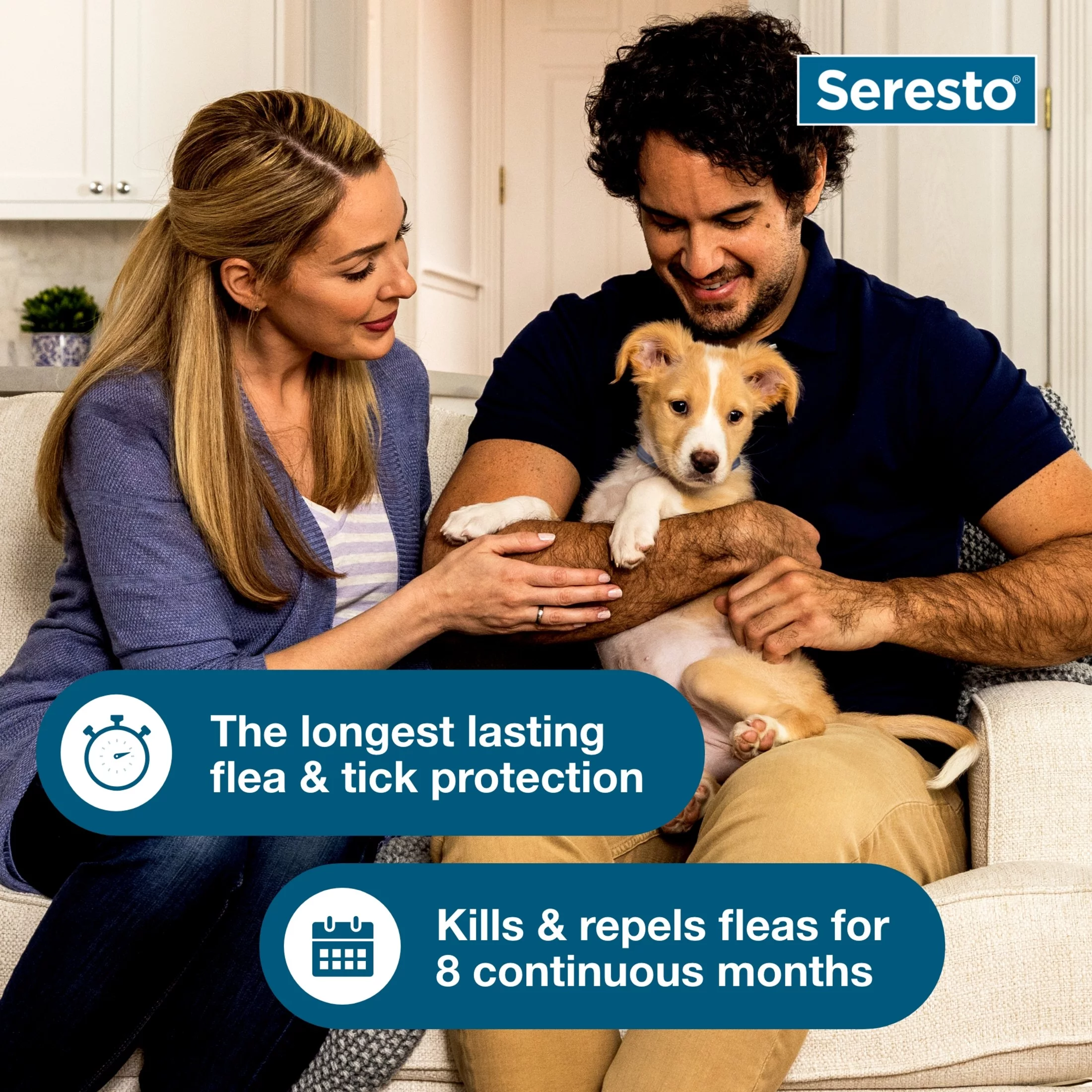 Seresto Small Dog Vet-Recommended 8-Month Flea & Tick Prevention Collar, Under 18 lbs