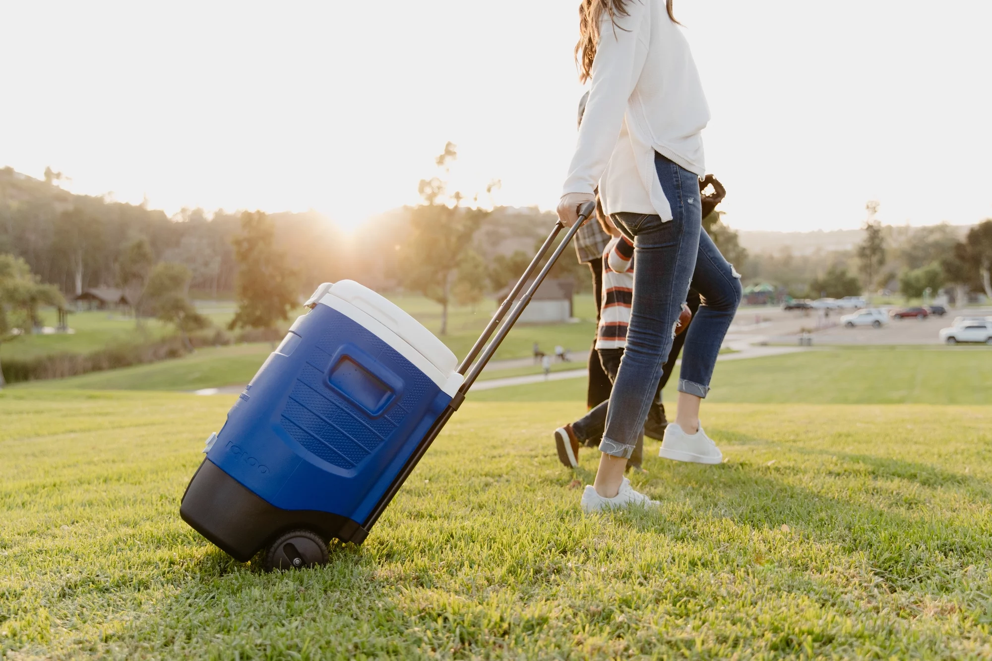 Igloo 5-Gallon Sports Rolling Water Cooler with Wheels – Blue