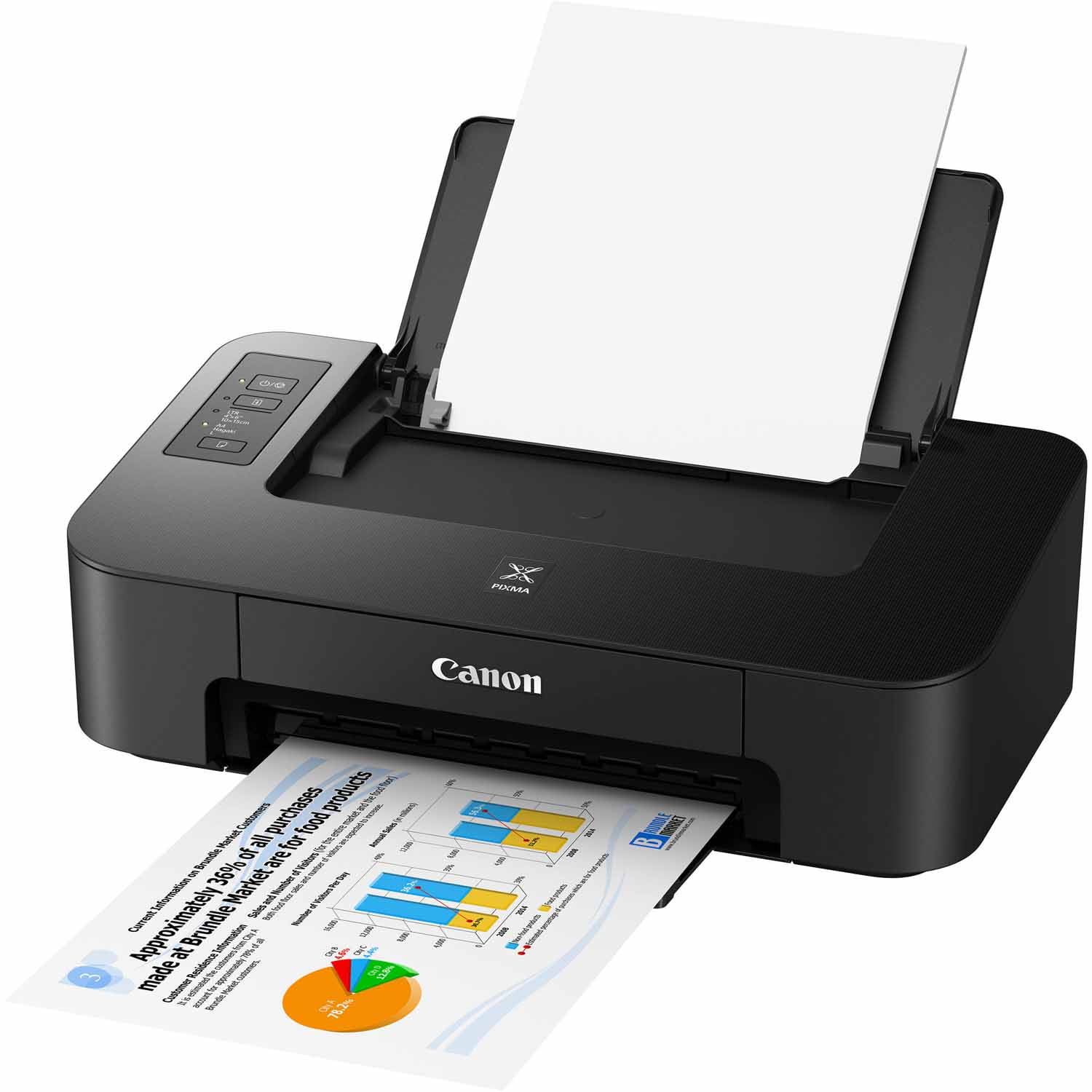 Canon 2319C002 PIXMA TS202 Inkjet Printer