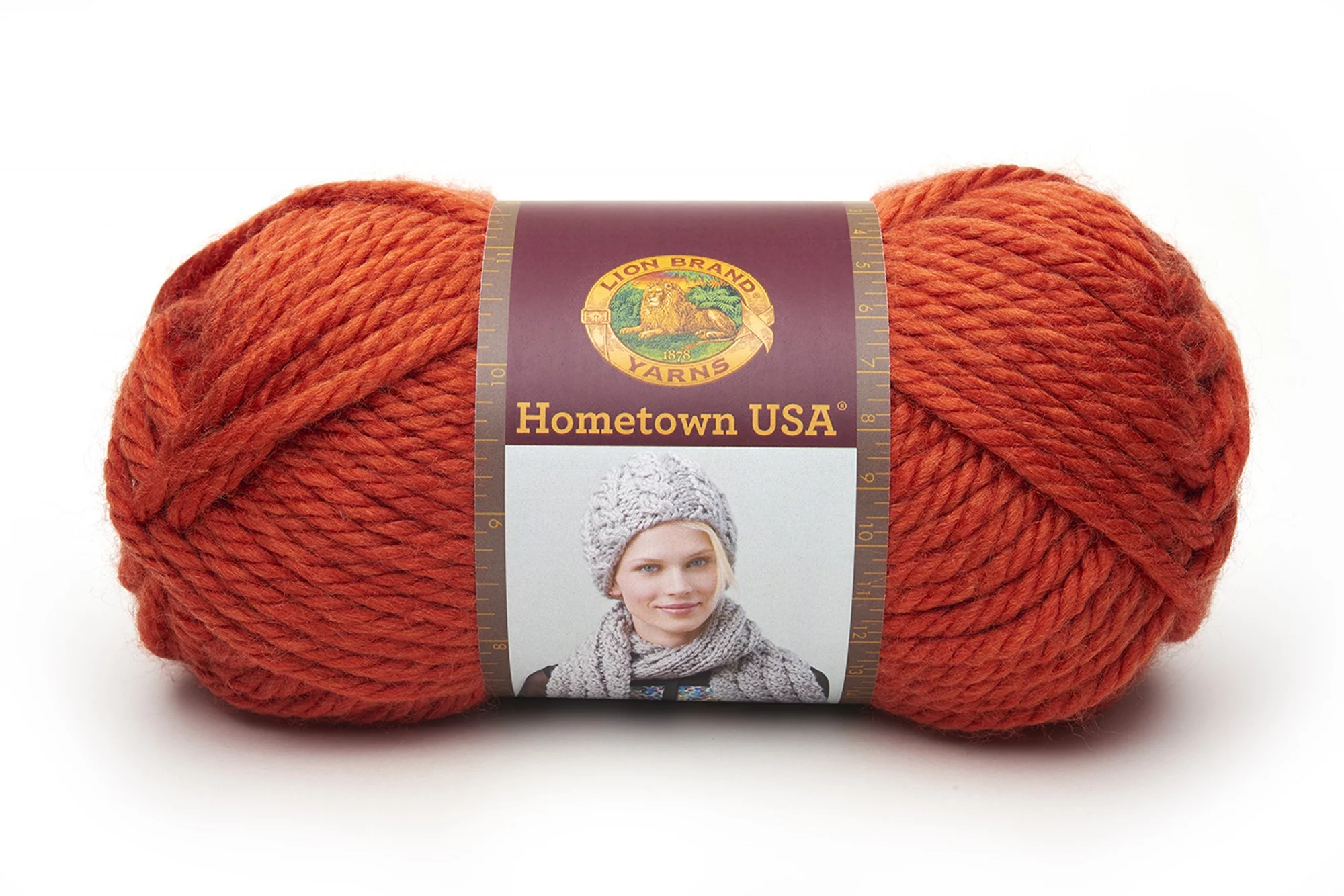 Lion Brand Yarn Hometown USA Oklahoma City Green 135-172 Classic Bulky Yarn