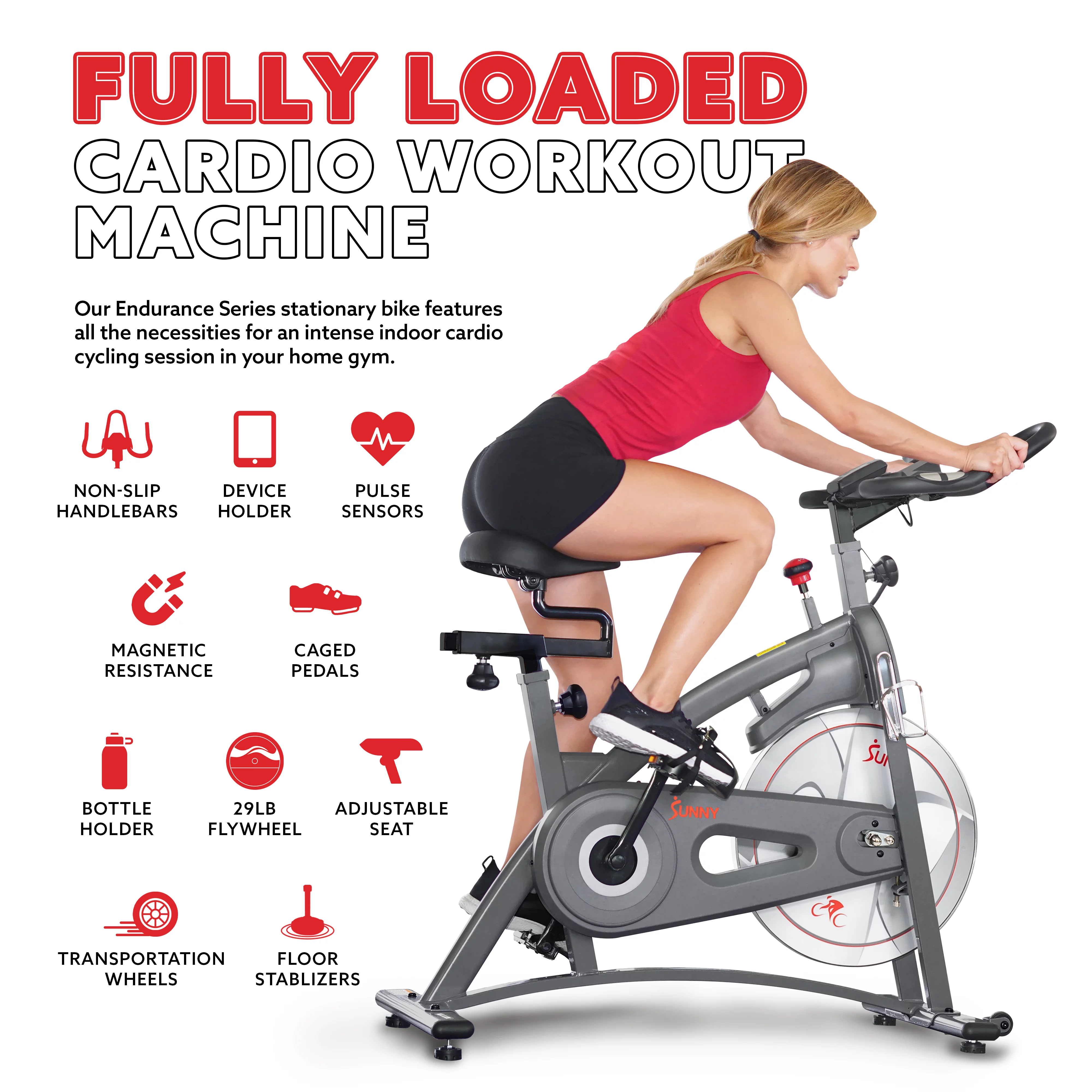 Sunny Health & Fitness Endurance Belt Drive Indoor Cycle Exercise Bike with Magnetic Resistance for Stationary Cardio, SF-B1877