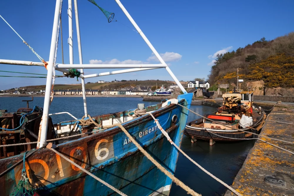 The Ard Eireann Fishing Boat, Arthurstown Fishing Harbour, County Wexford, Ireland Poster Print (27 x 9)