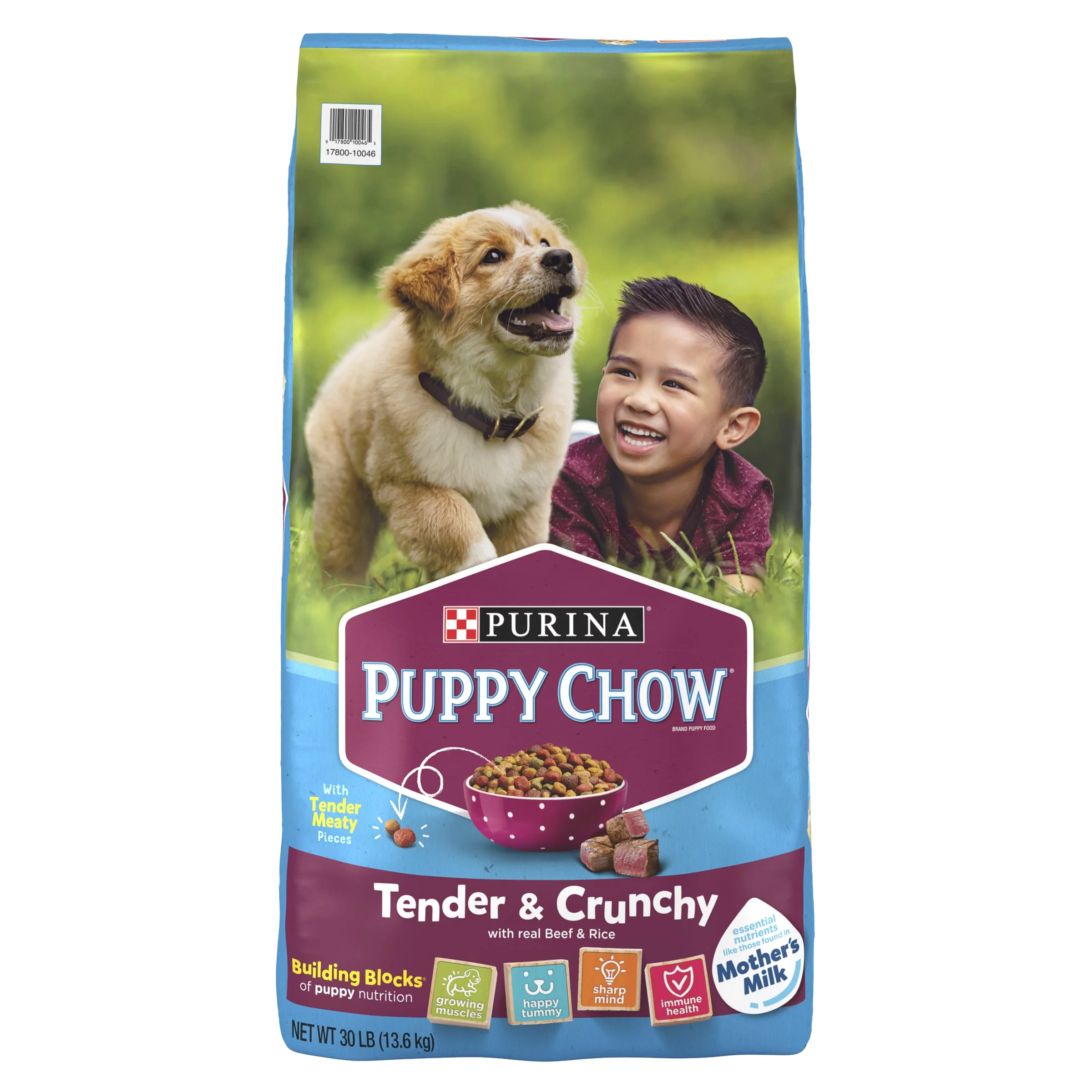 Purina Puppy Chow High Protein Dry Puppy Food, Tender & Crunchy With Real Beef, 15 lb. Bag