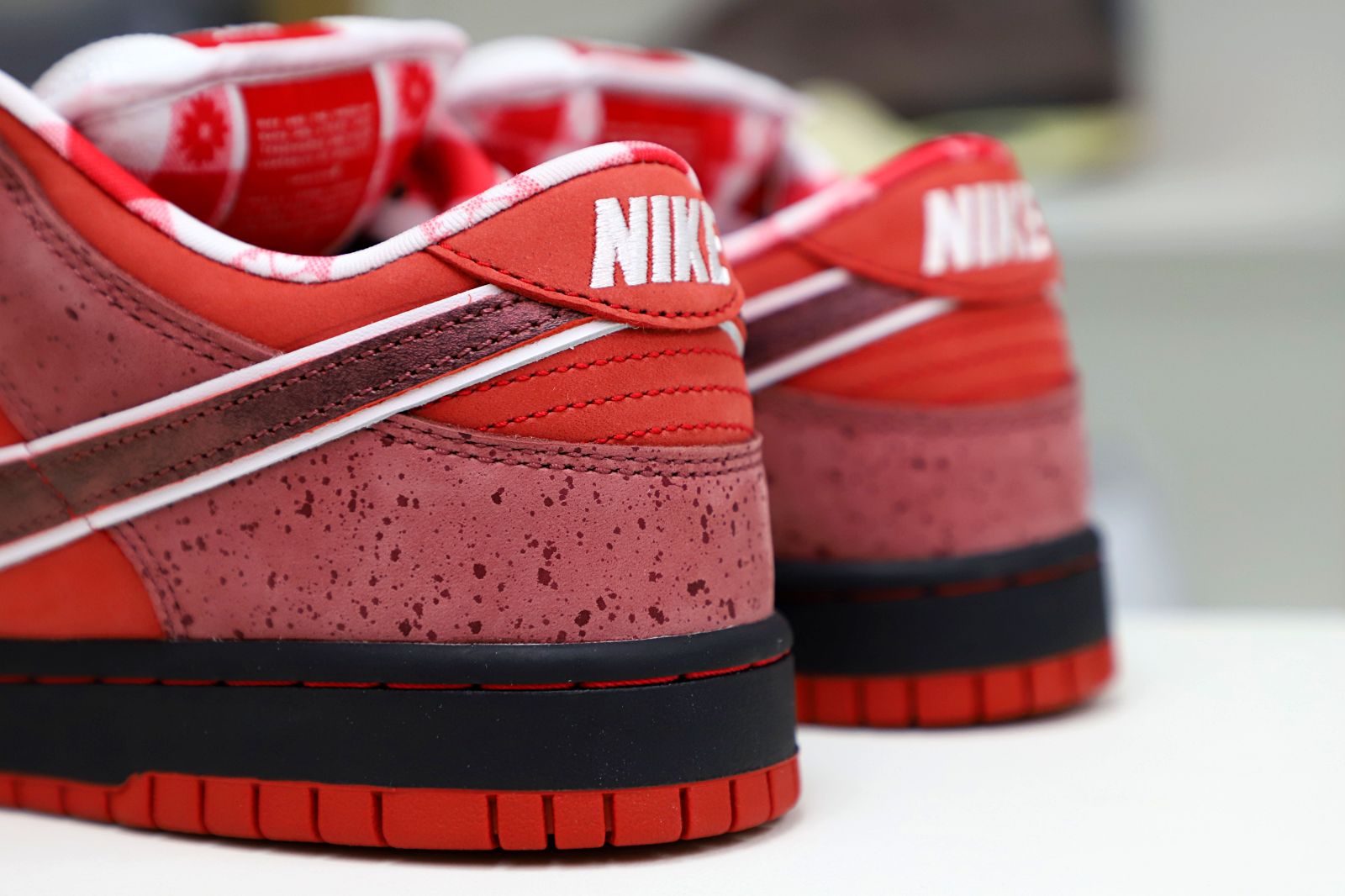 Concepts x Nike Dunk SB Low Red Lobster - finekick.vip