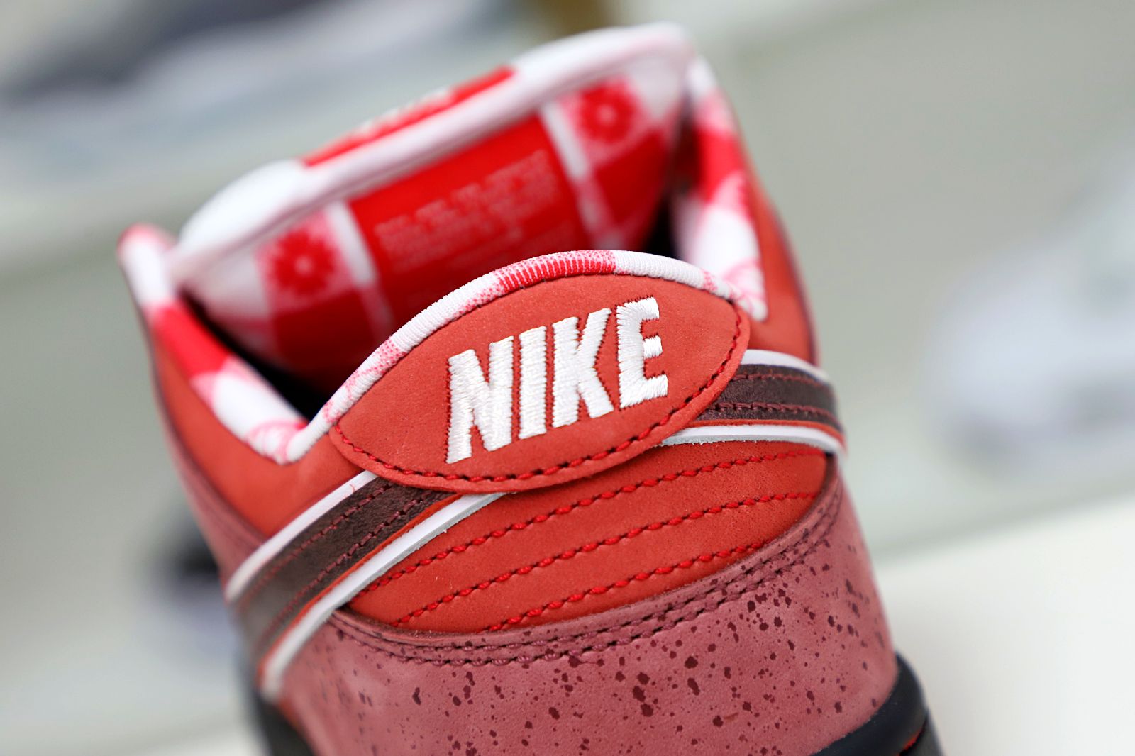 Concepts x Nike Dunk SB Low Red Lobster - finekick.vip