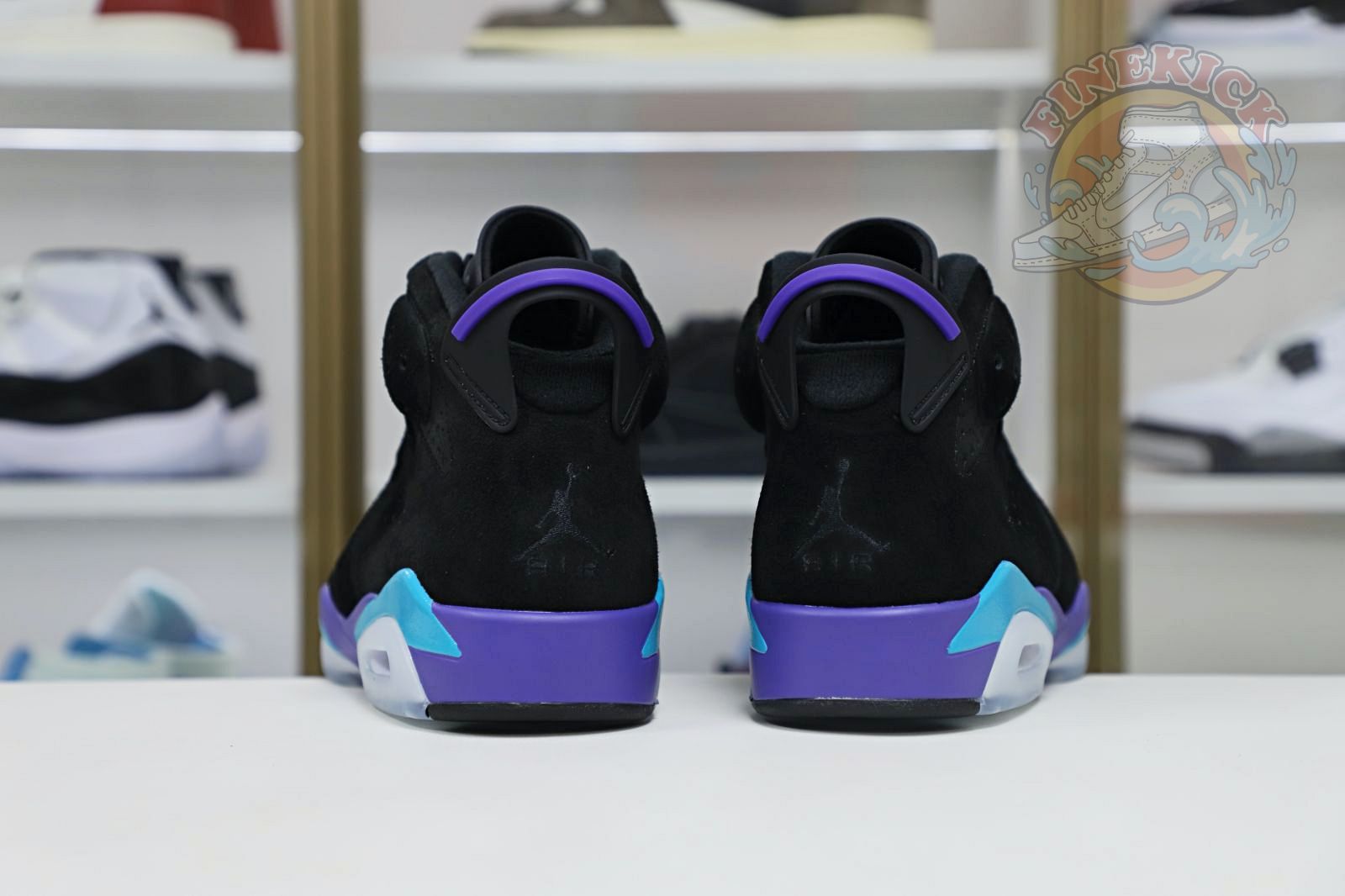 Air Jordan6