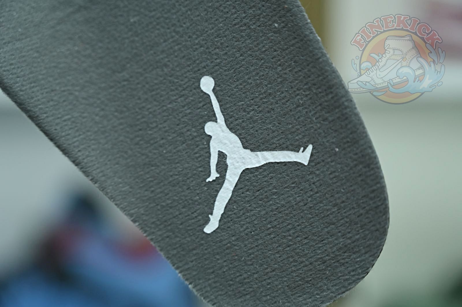 Air Jordan5 SE