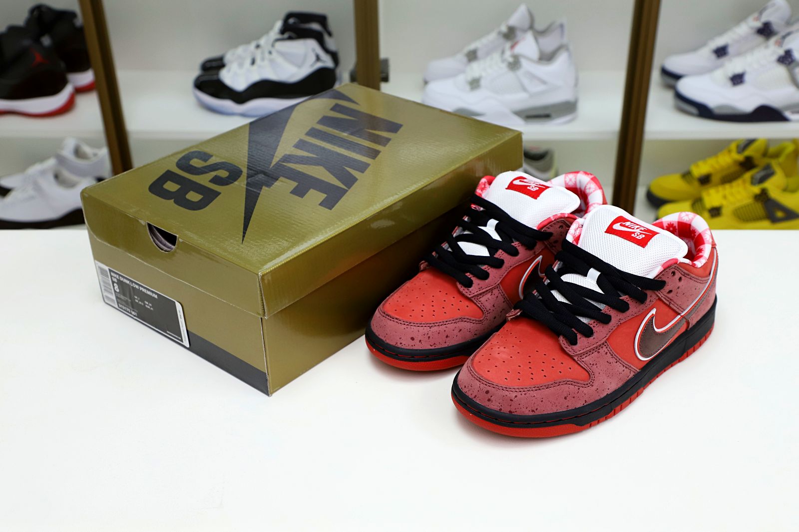 Concepts x Nike Dunk SB Low Red Lobster - finekick.vip