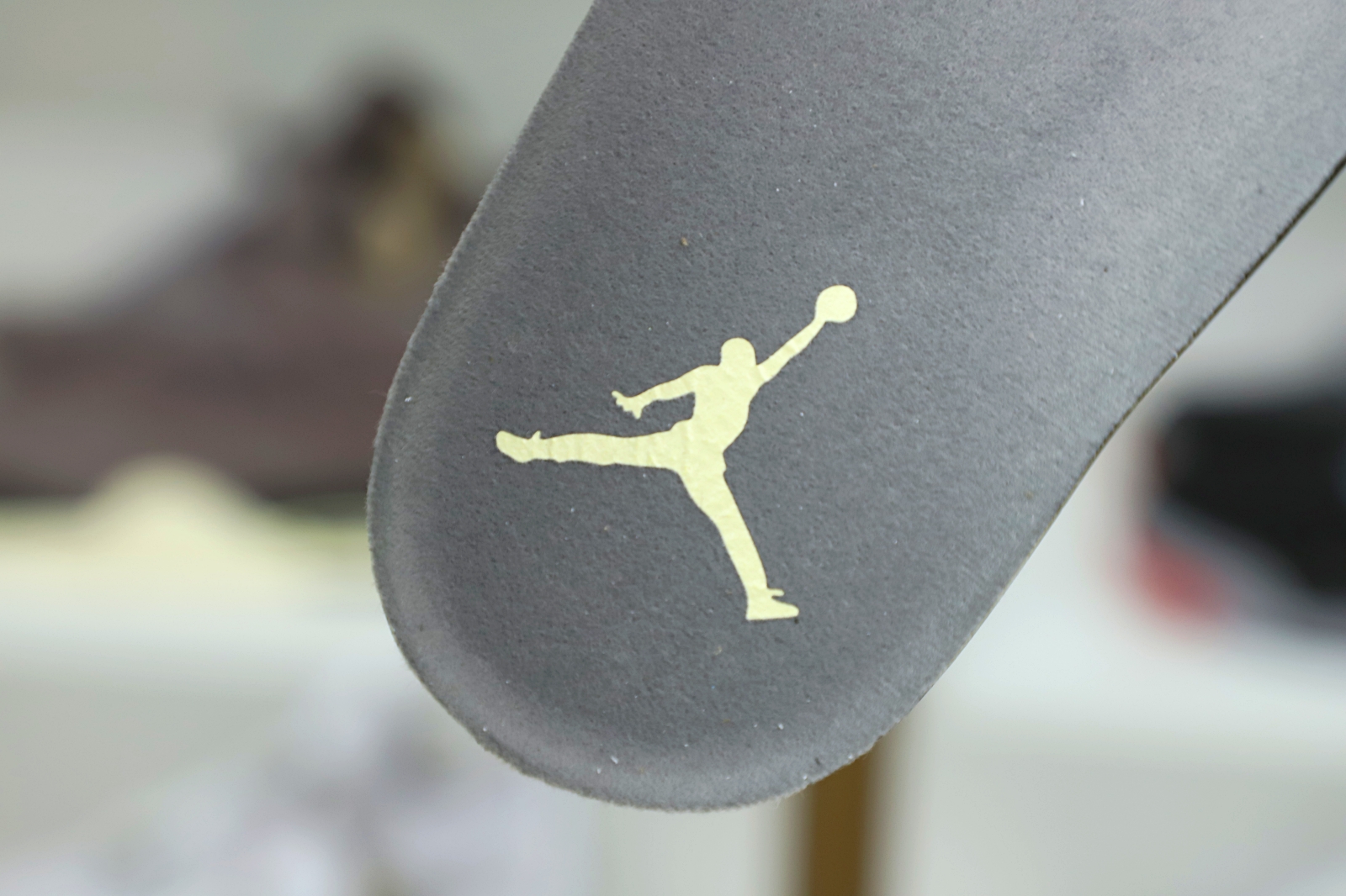 Air Jordan 4 SE