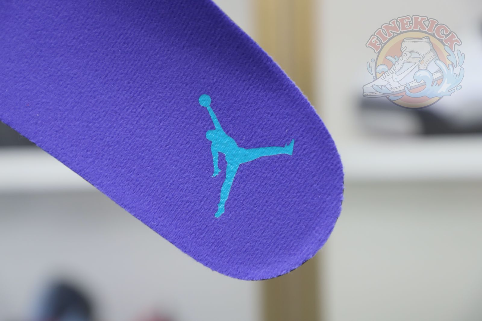 Air Jordan6
