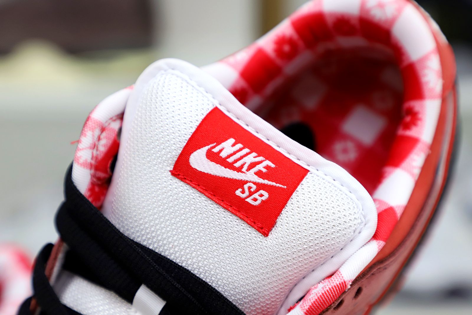 Concepts x Nike Dunk SB Low Red Lobster - finekick.vip