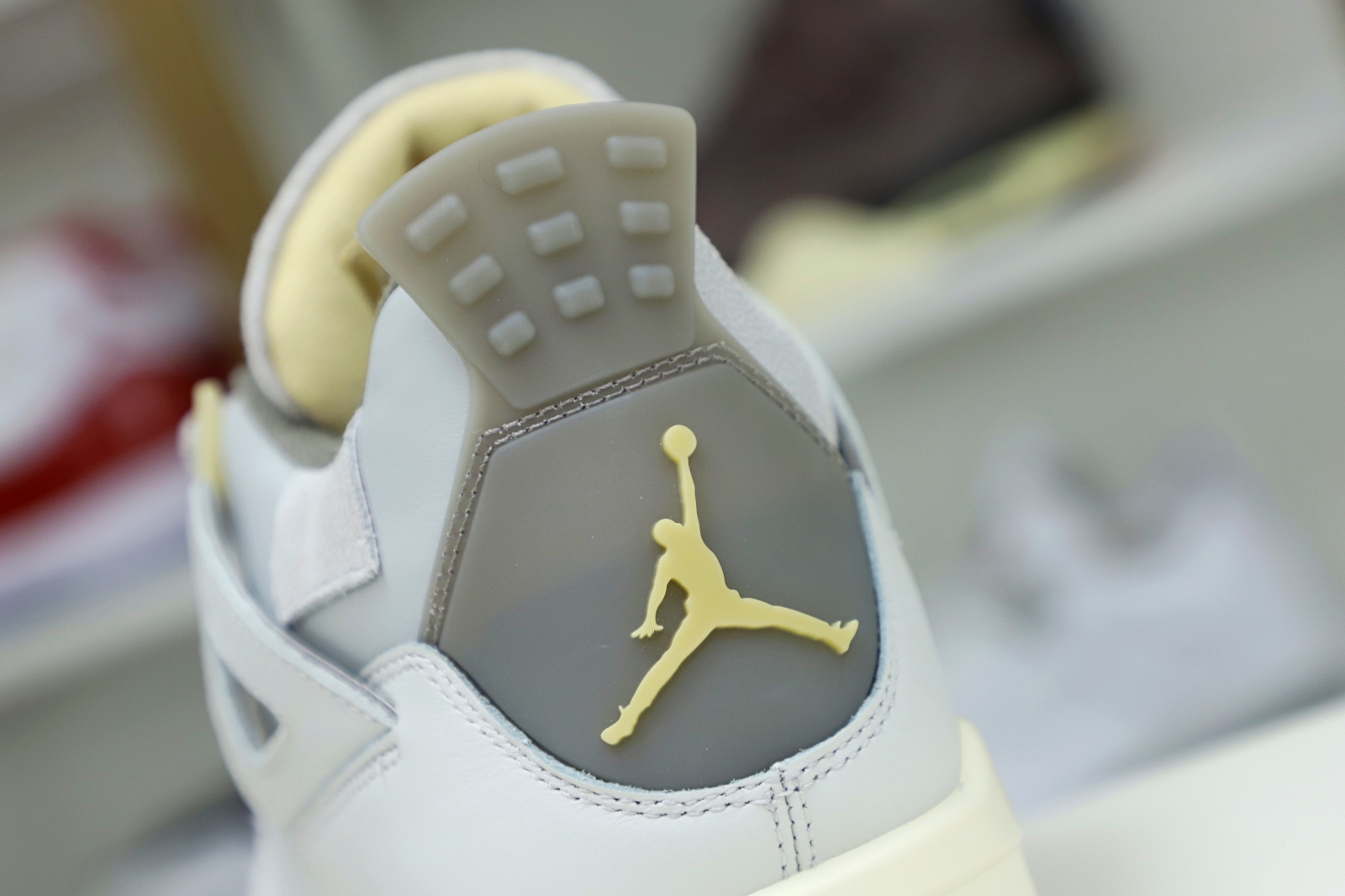 Air Jordan 4 SE