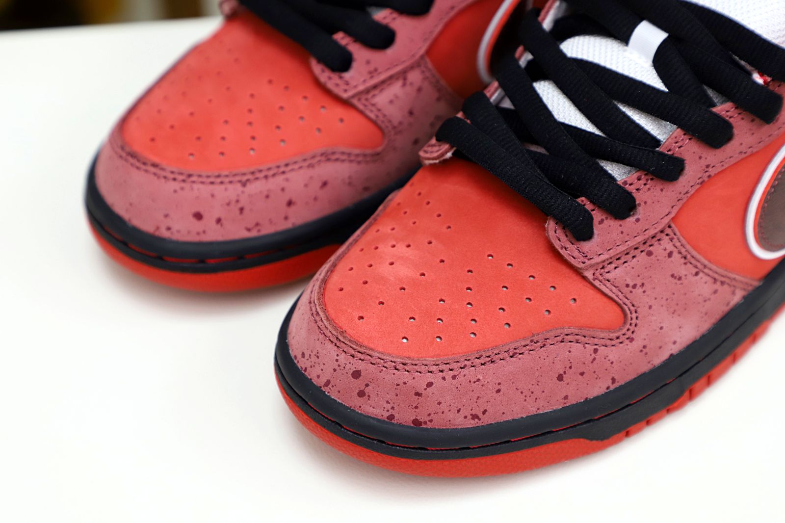 Concepts x Nike Dunk SB Low Red Lobster - finekick.vip