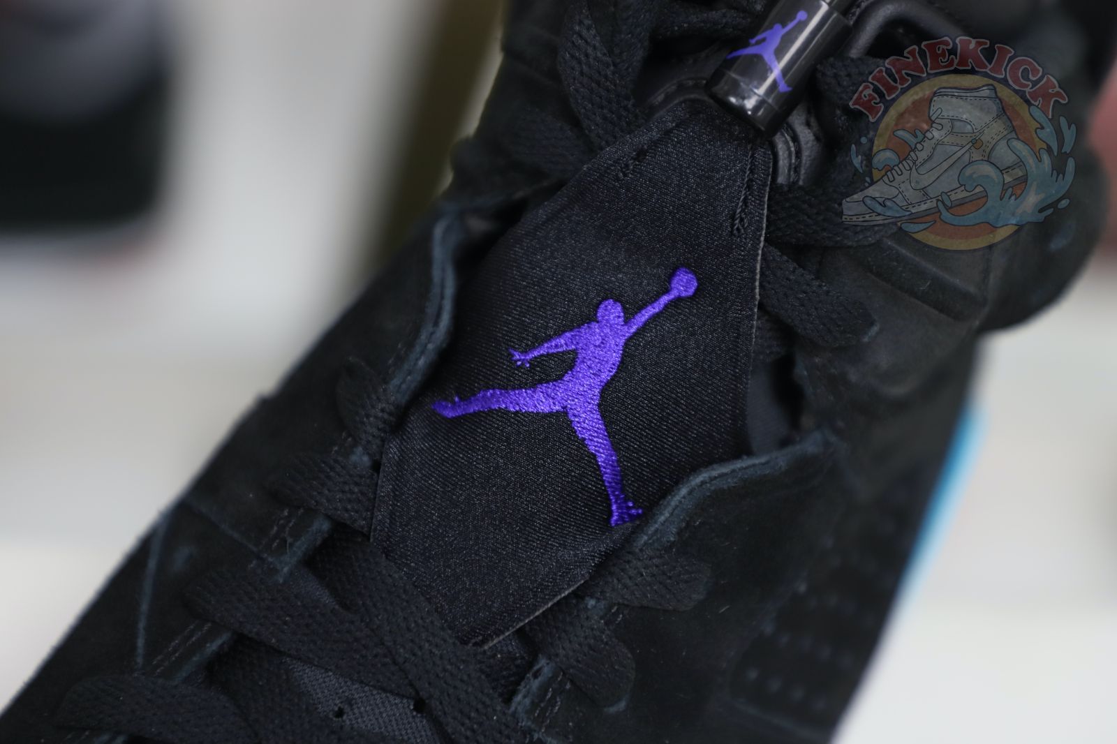 Air Jordan6