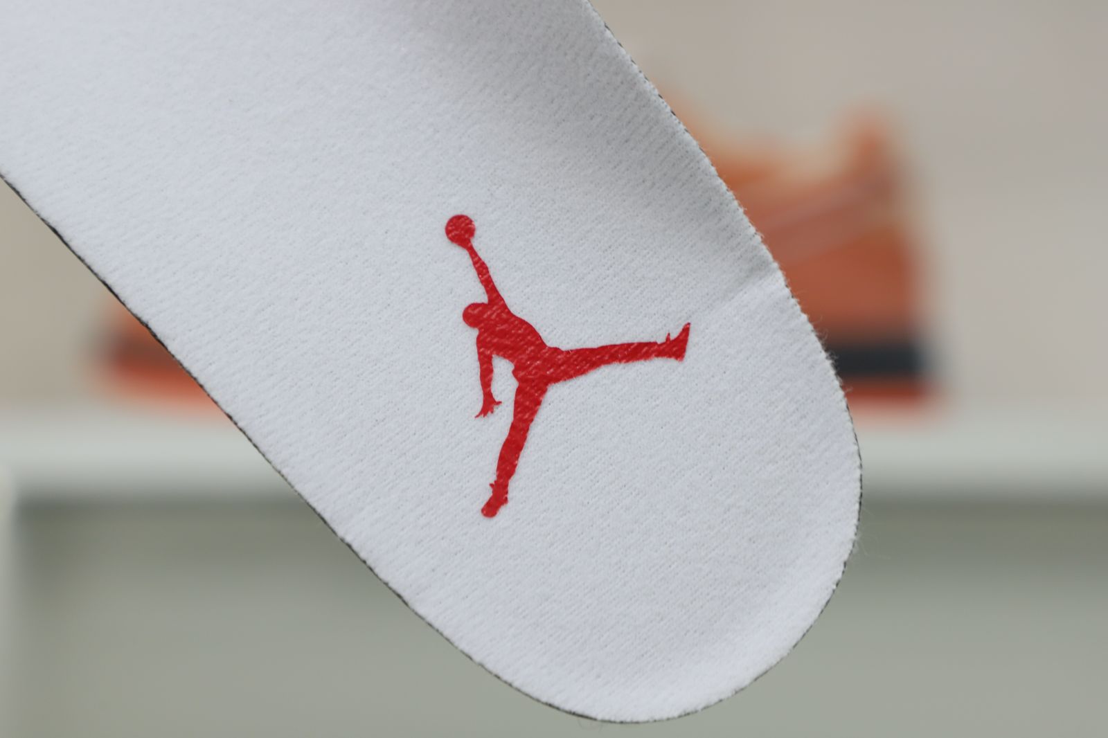 Air Jordan 13