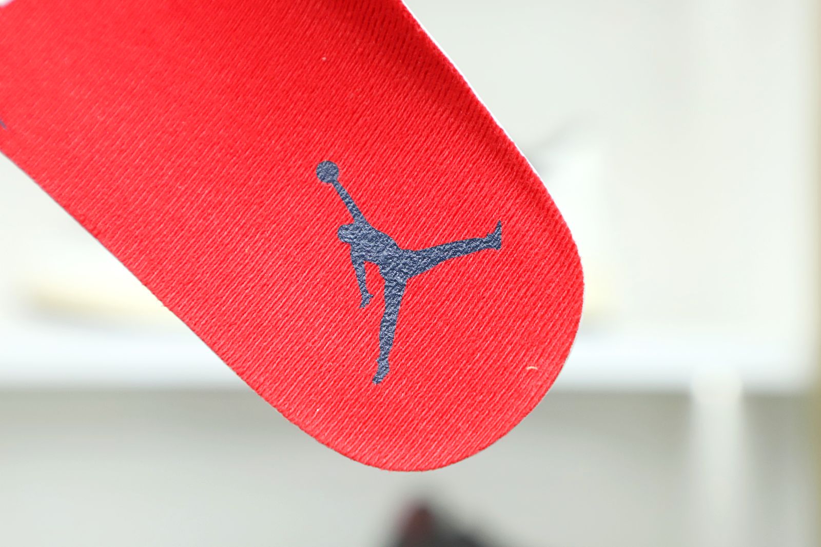 Air Jordan 4 retro se