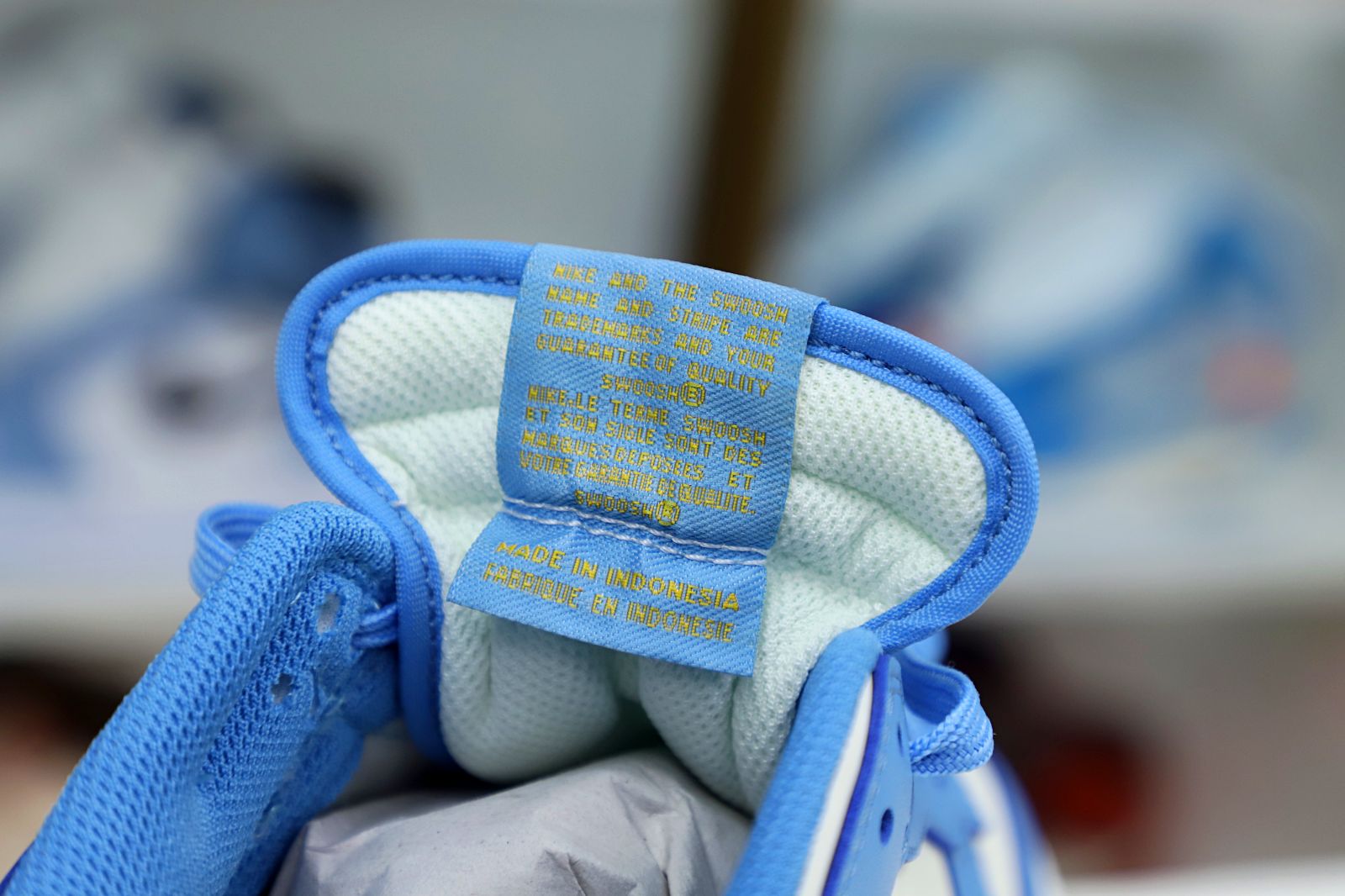 DUNK SB LOW COAST - finekick.vip