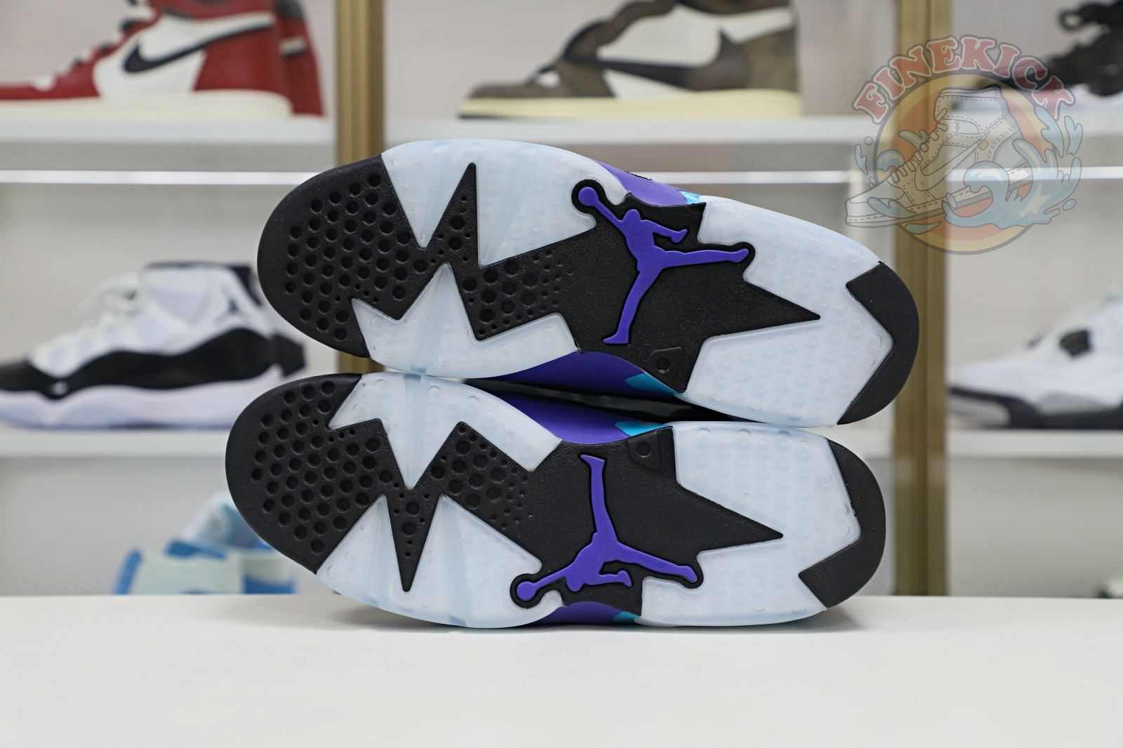 Air Jordan6