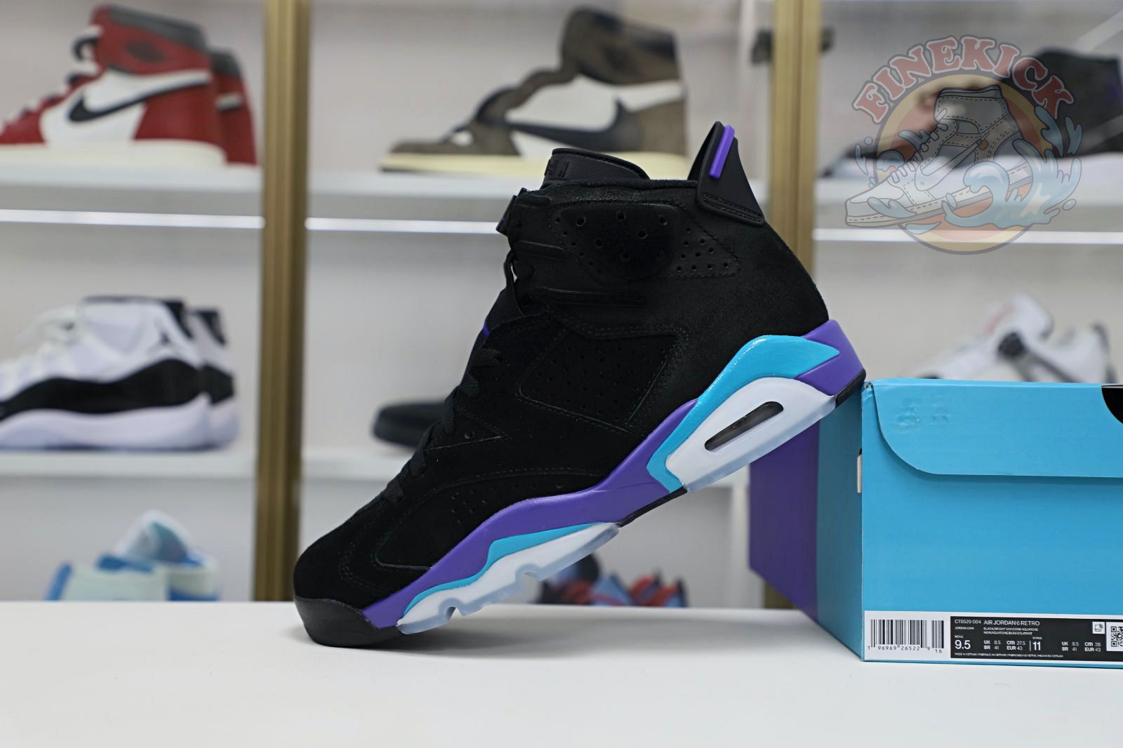 Air Jordan6