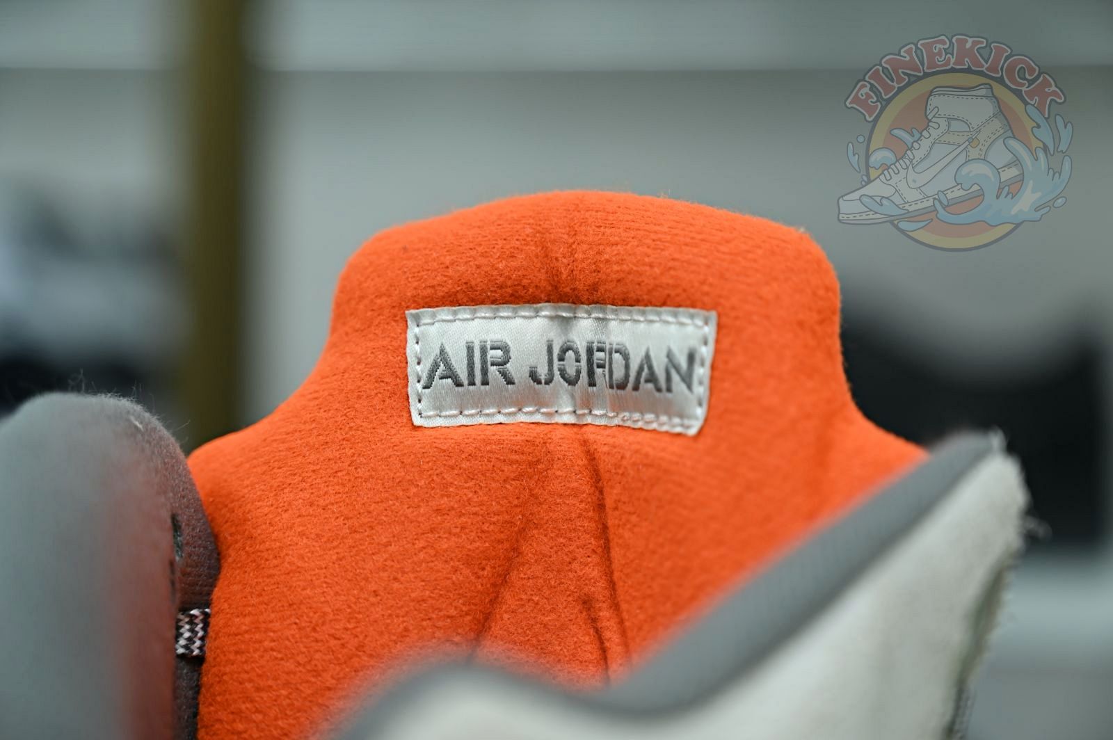 Air Jordan5 SE