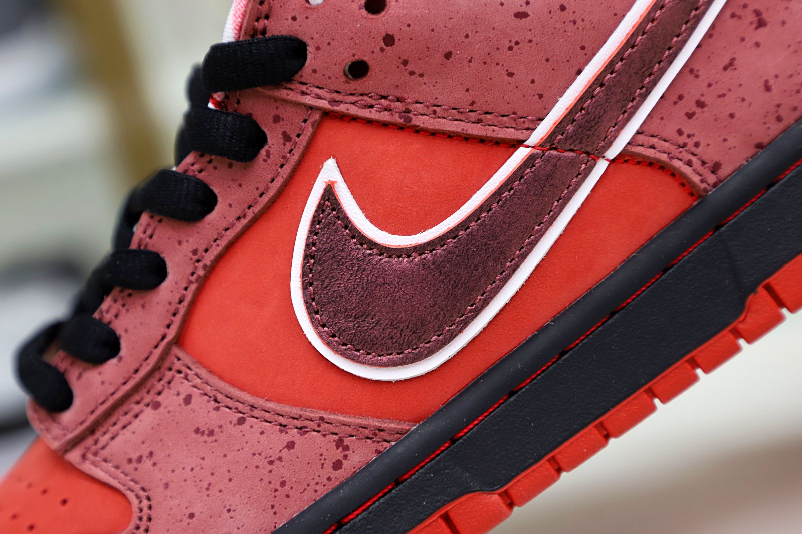 Concepts x Nike Dunk SB Low Red Lobster - finekick.vip