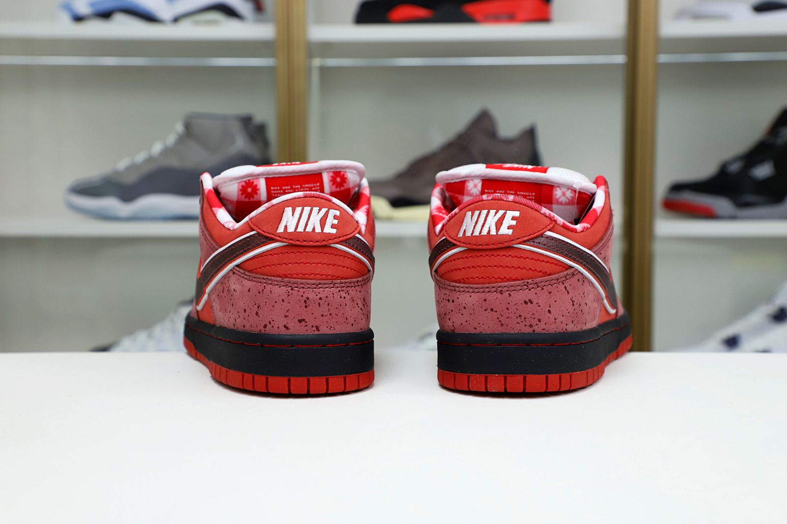 Concepts x Nike Dunk SB Low Red Lobster - finekick.vip