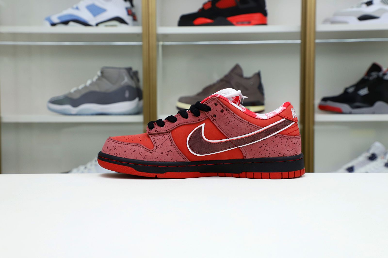 Concepts x Nike Dunk SB Low Red Lobster - finekick.vip