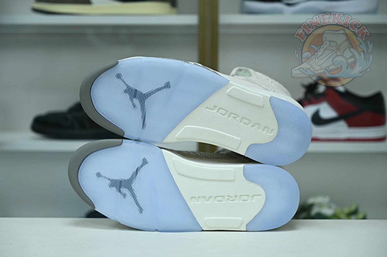 Air Jordan5 SE