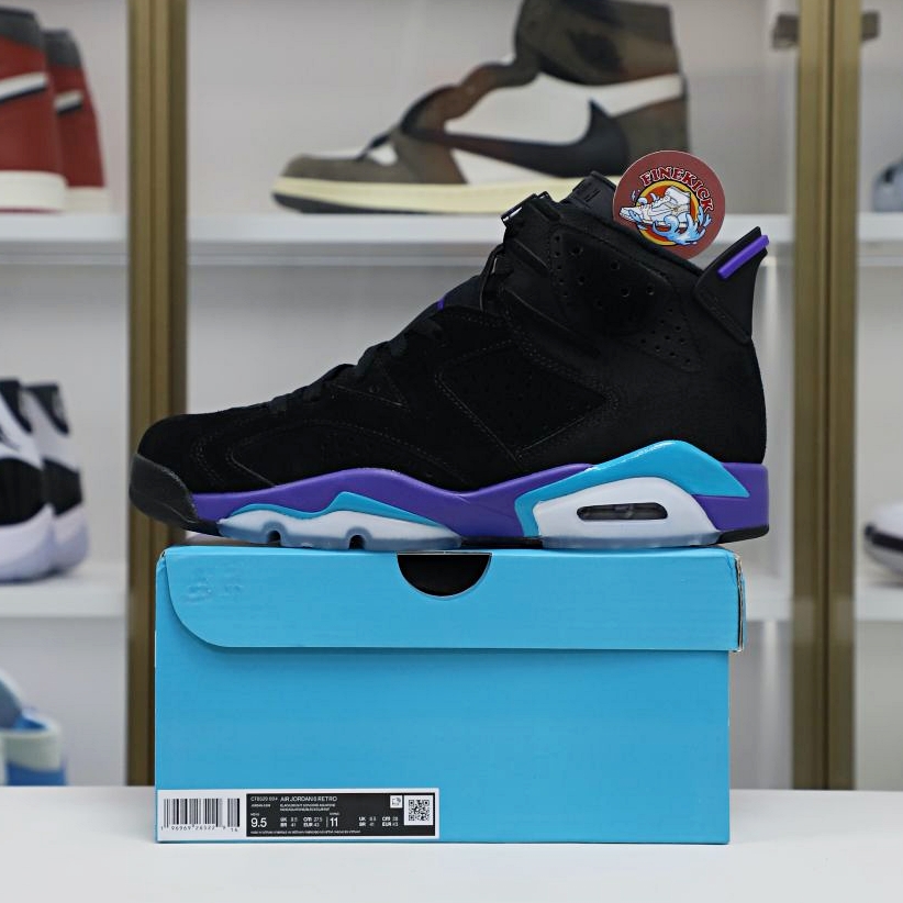 Air Jordan6
