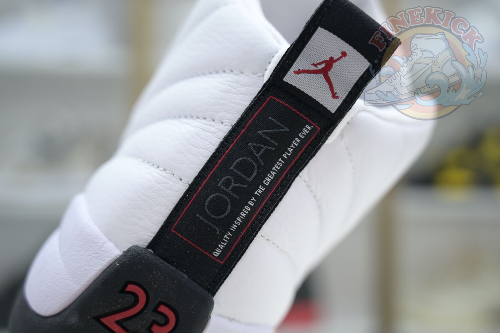 Air Jordan 12