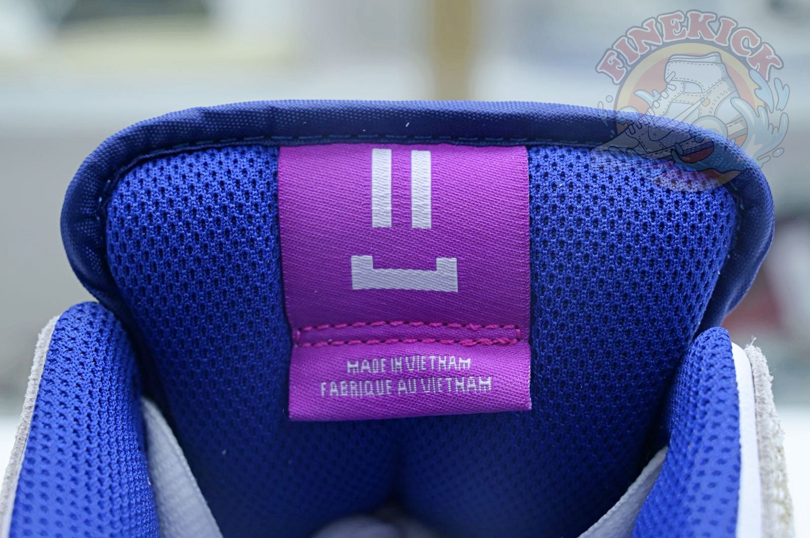 Rayssa Leal x Nike SB Dunk Low - finekick.vip
