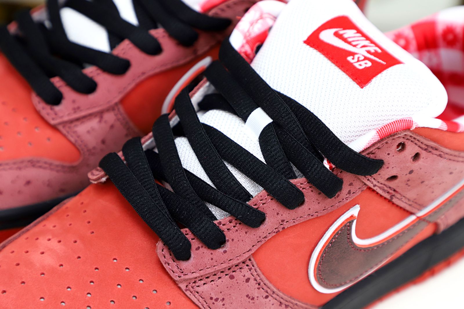 Concepts x Nike Dunk SB Low Red Lobster - finekick.vip