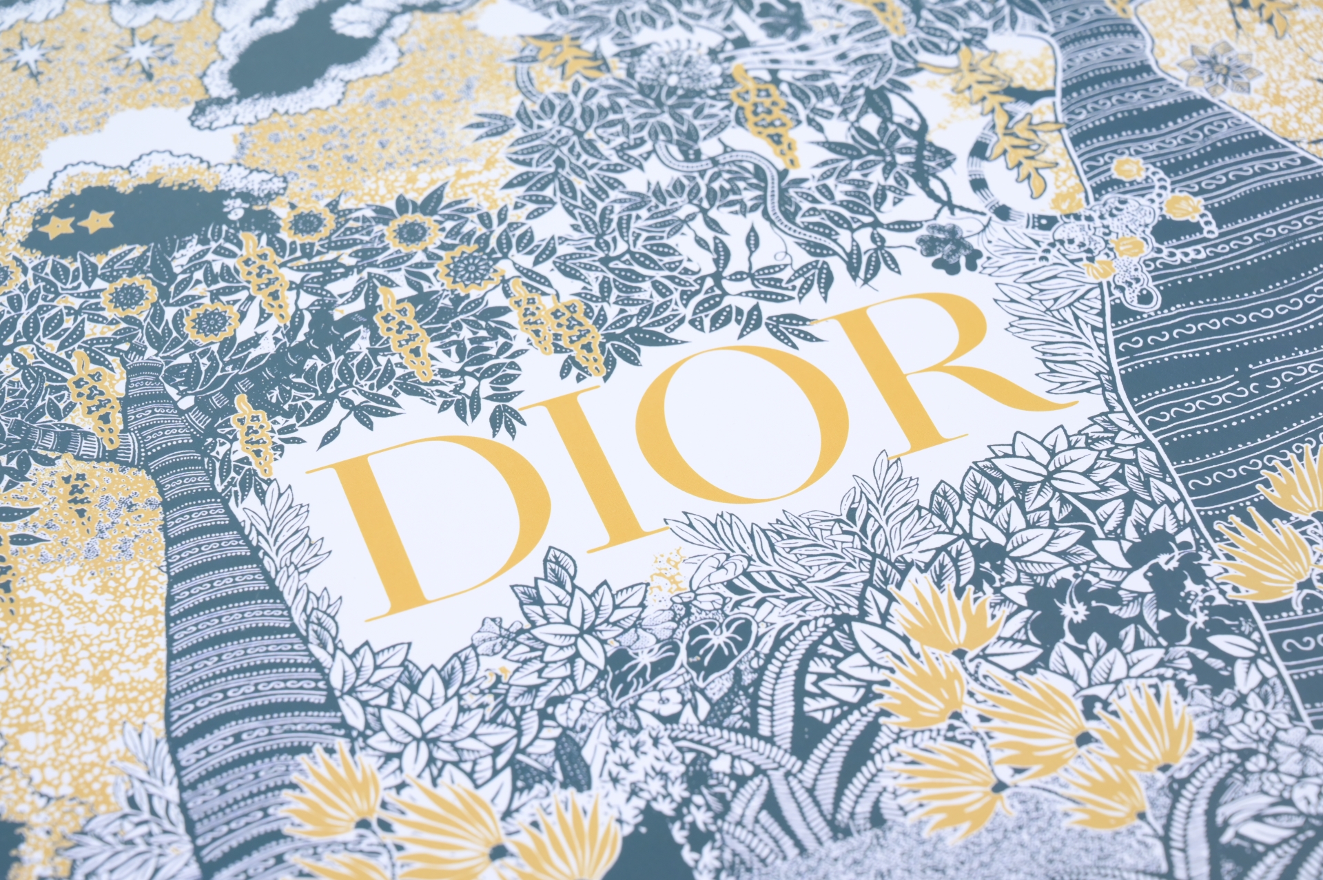 DIOR - finekick.vip