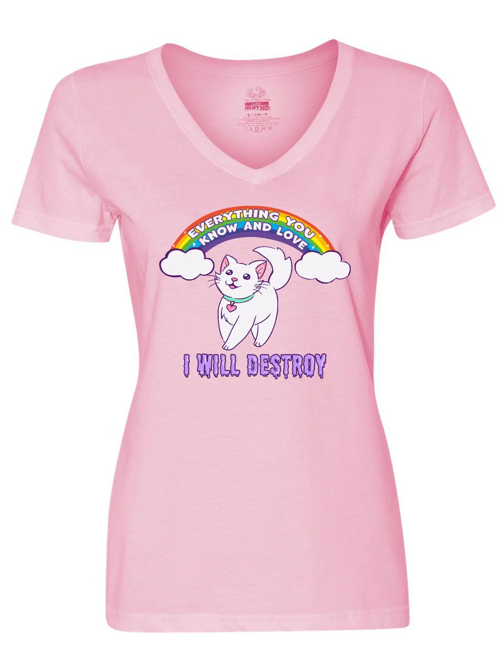 Inktastic I Will Destroy Everything You Know and Love Rainbow Kitty Women's V-Neck T-Shirt