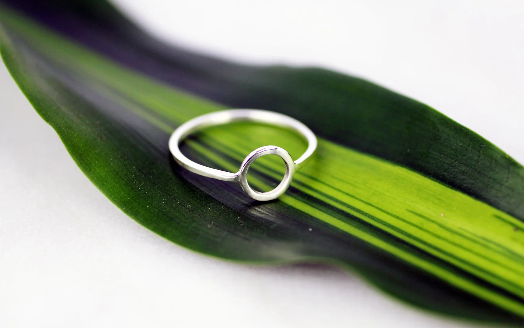CONTINUUM Ring