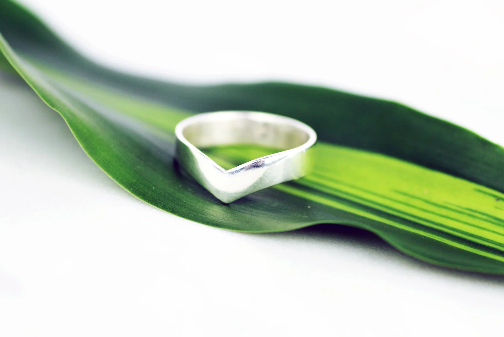 ADELPHI Ring