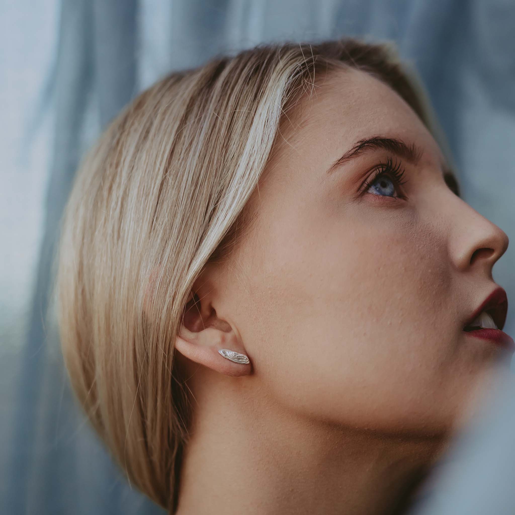 Noitatunturi Silver Earrings