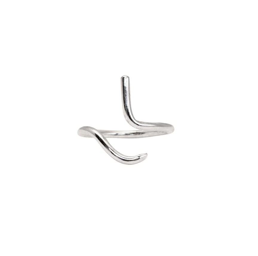 HERA Ring