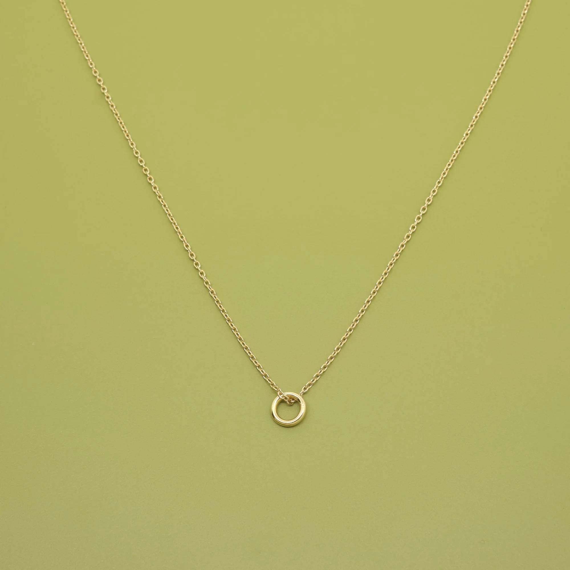 Small Circle Necklace