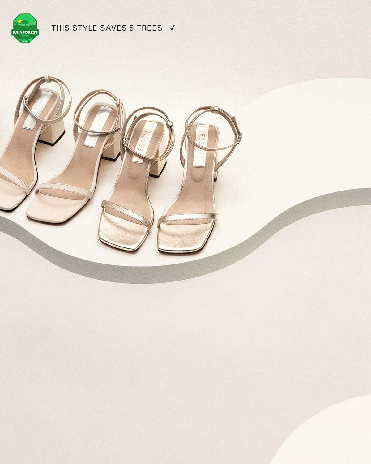 The Elevated Essential Champagne