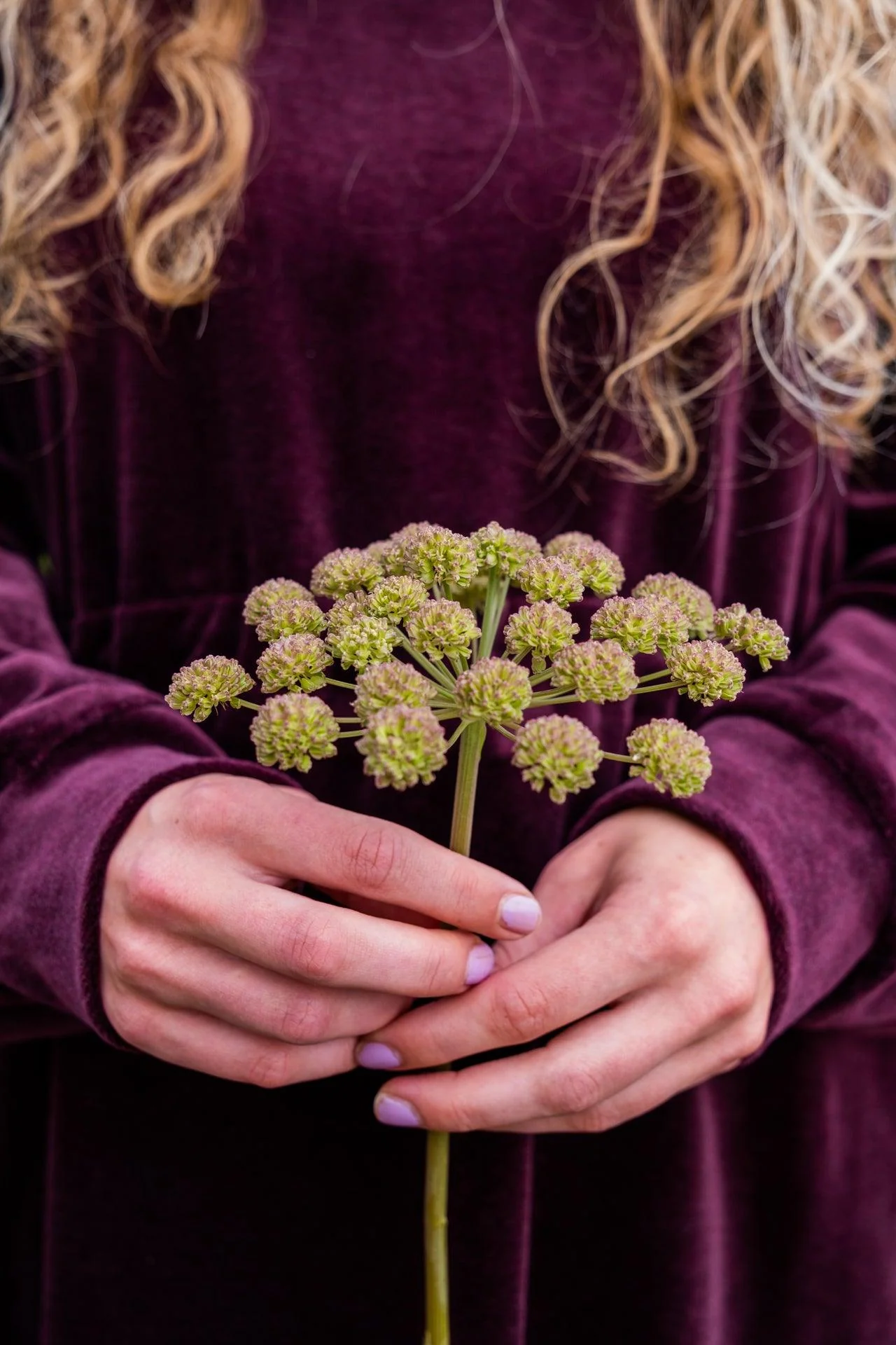 Wanderer Dress Kaarnikka