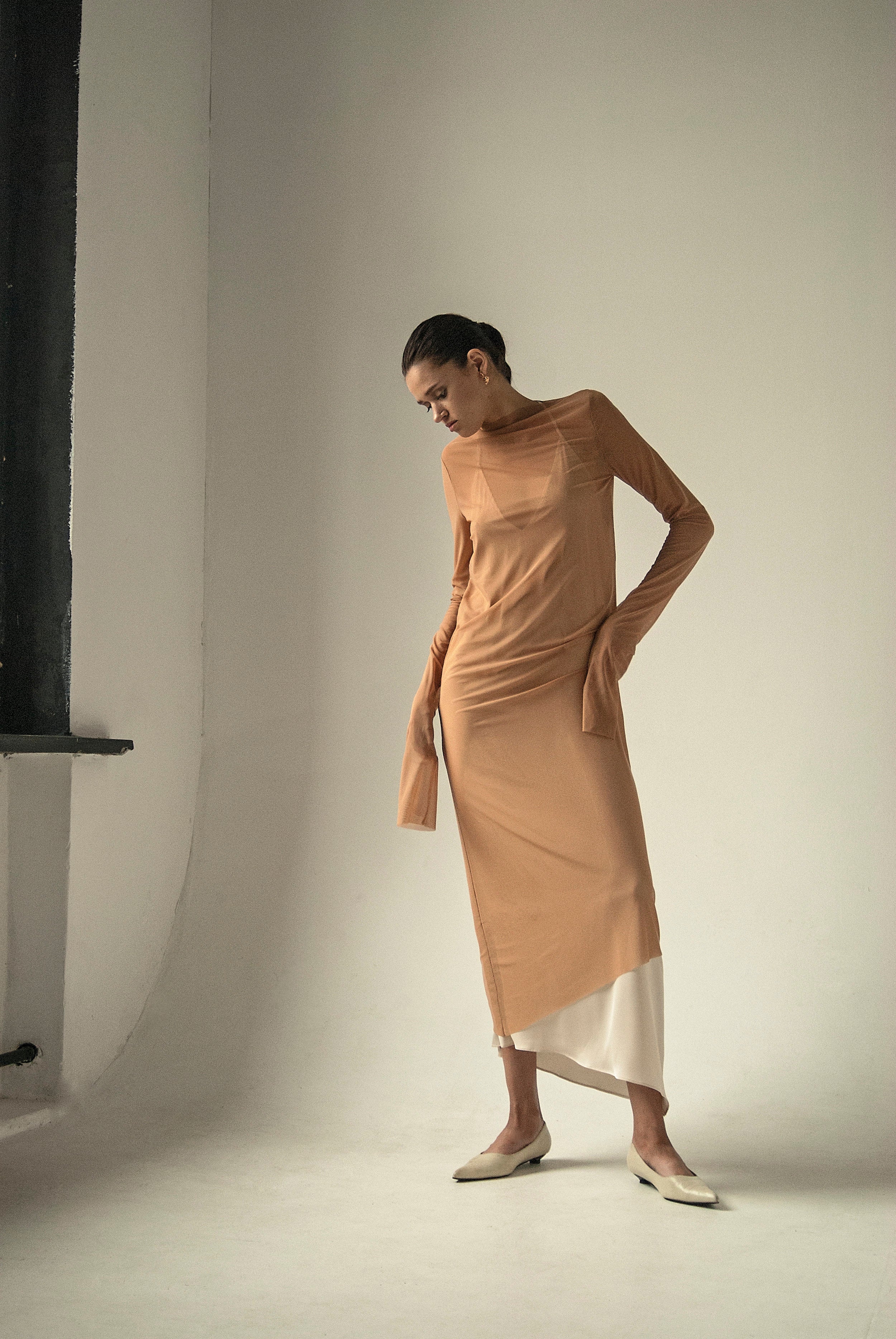 Endless Sleeves Nude Tulle Dress