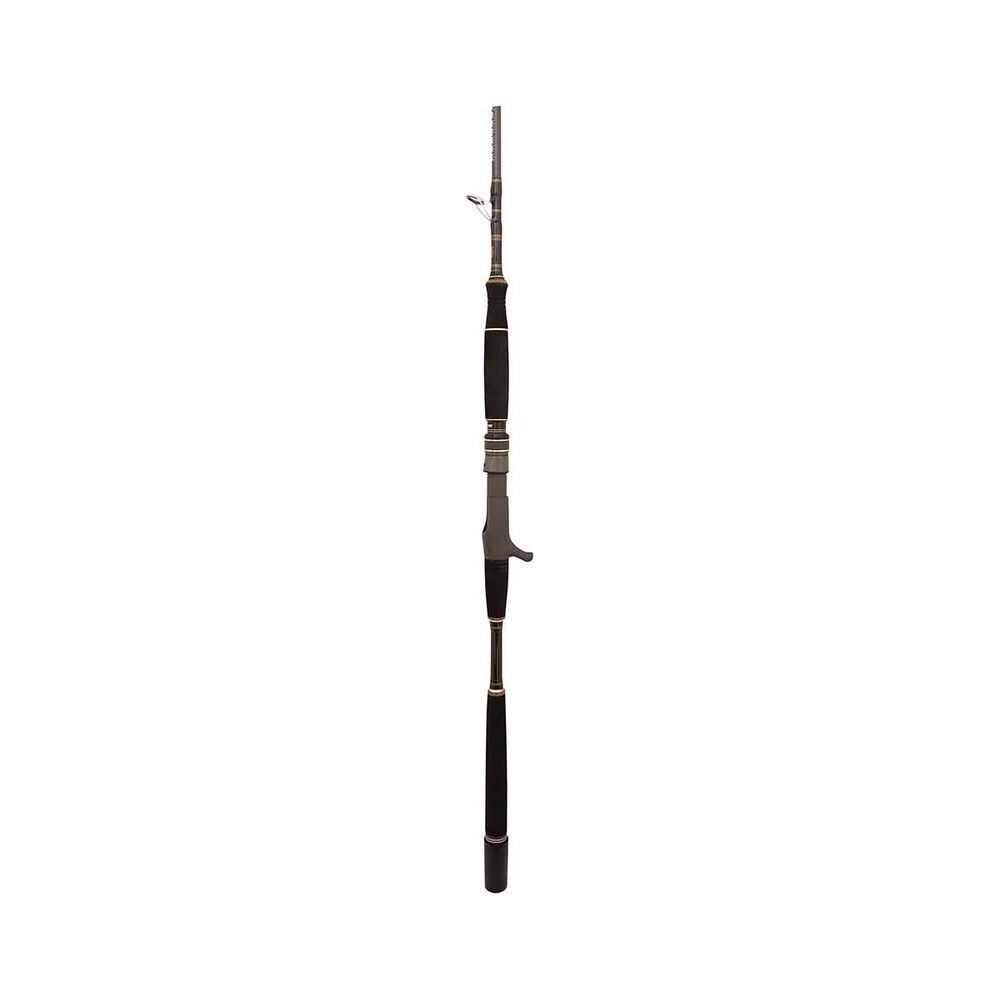 PENN Ocean Assassin Overhead Rod