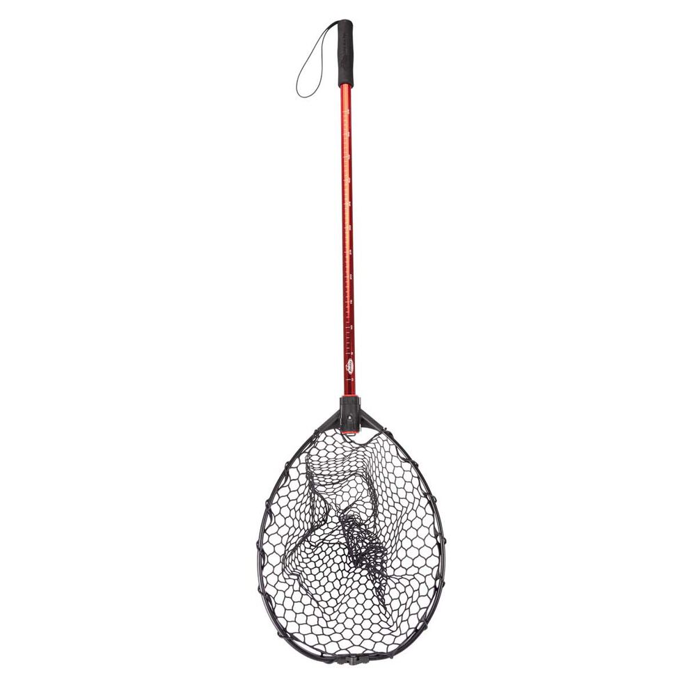 Berkley Catch N Release Folding Landing Net
