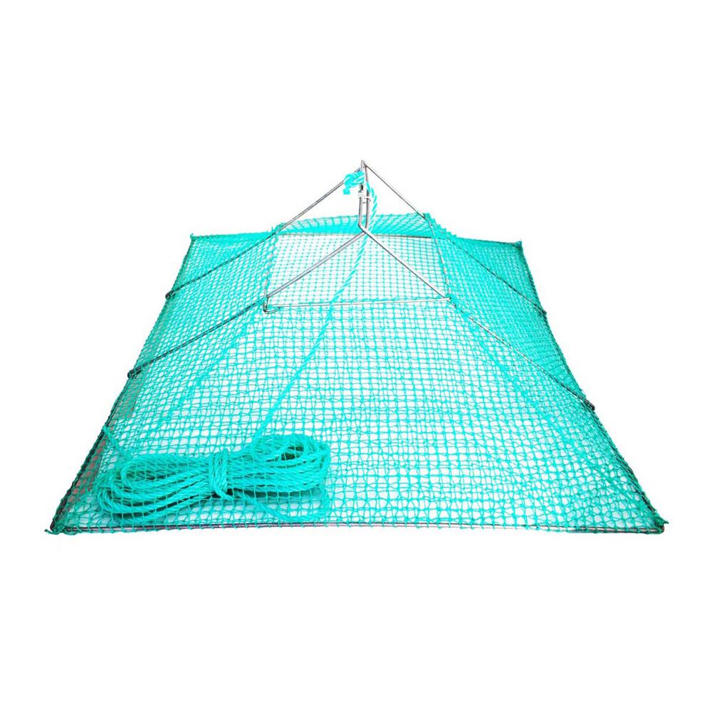 Wilson Pyramid Trap