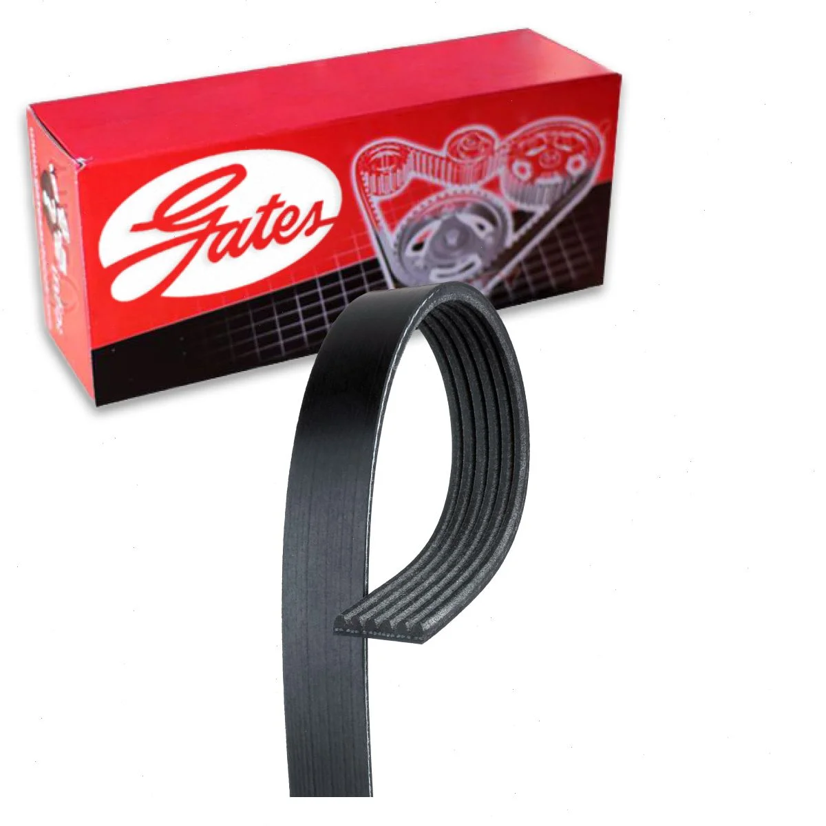 Gates Micro-V Serpentine Belt compatible with Ford Edge 3.5L 3.7L V6 2007-2018