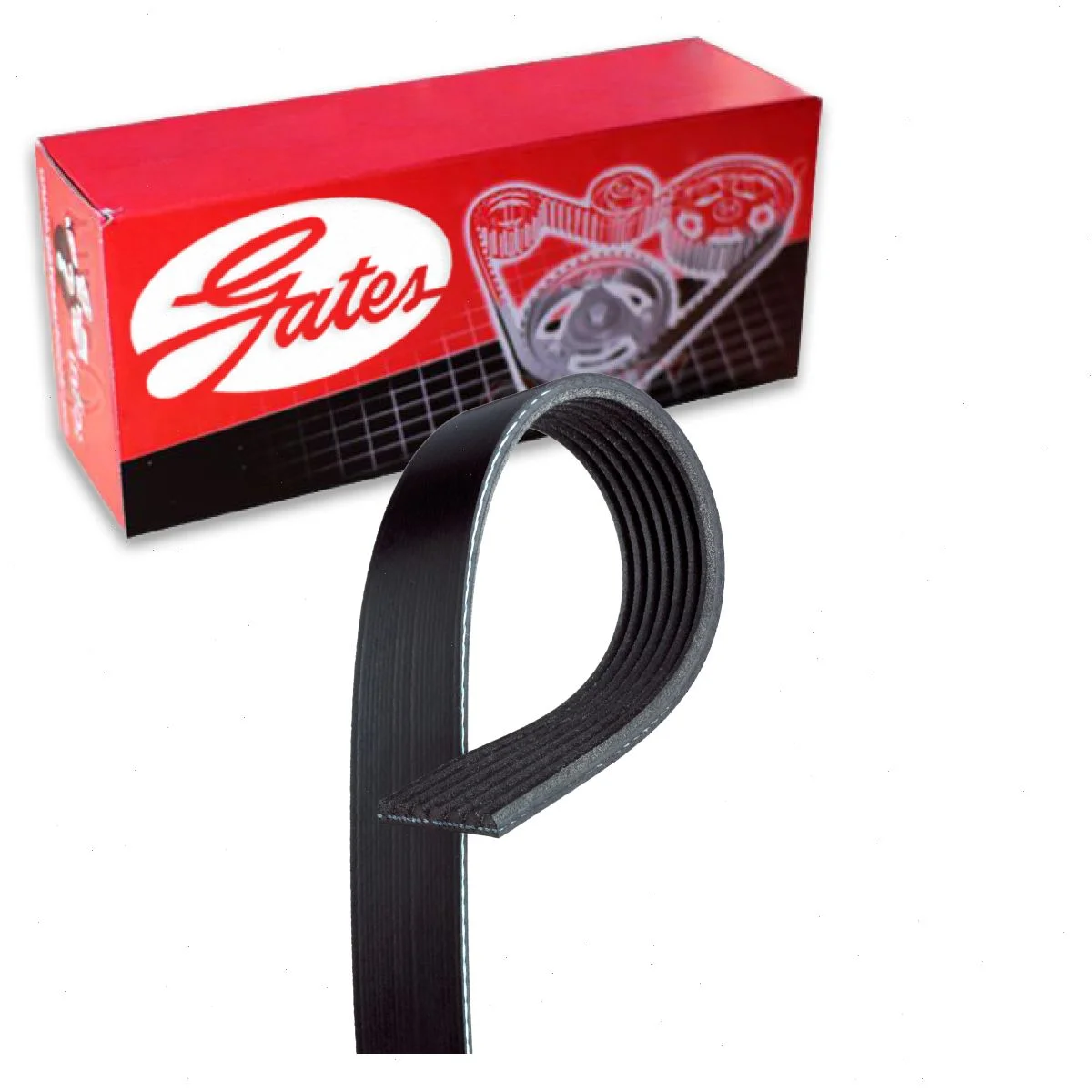 Gates Accessory Drive Micro-V Serpentine Belt compatible with Toyota Tacoma 4.0L V6 2007-2015