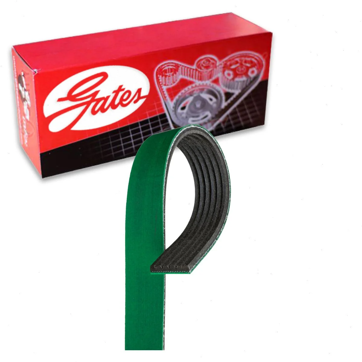 Gates FleetRunner Micro-V Serpentine Belt compatible with Dodge Ram 1500 5.7L V8 2009-2010